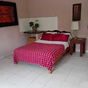 https://apartamento-en-planta-alta-a-pie-de-calle.quintano-roohotels.com